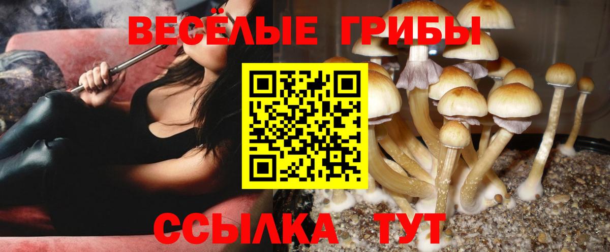 Псилоцибиновые грибы мухоморы  наркотики  Гусиноозёрск  Вход с VPN 