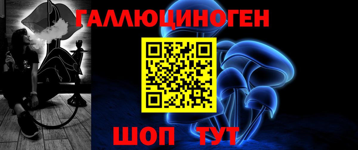 Псилоцибиновые грибы прущие грибы Гусиноозёрск